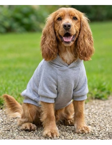 POT-PP002-Hoodie pour chien